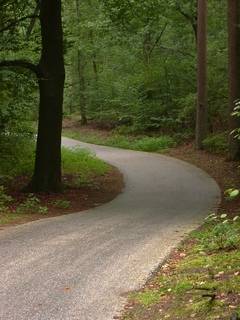 Radweg durch den Wald