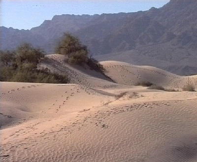 487 Death Valley Sand