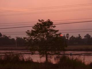 Sonnenuntergang  über Reisfelder