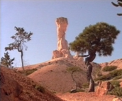 371 BC gedrehter Baum Felsturm