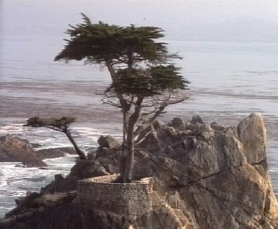 578 Monterey 17 Miles Drive Baum